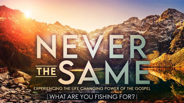 Never the Same - What Are You Fishing For?